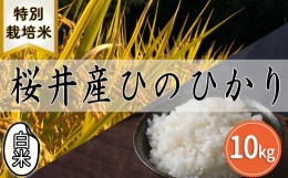 【ふるさと納税】M-BC17.【特別栽培米】桜井市高家産 ヒノヒカリ 10kg（白米）