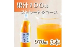 【ふるさと納税】果汁100％田村そだちみかんジュース　970ml×3本