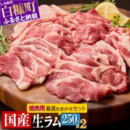 【ふるさと納税】焼肉用ラム肉スライス【250g×2パック、オリジナルスパイス10g】