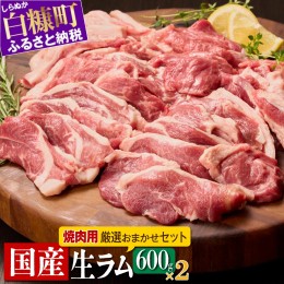 【ふるさと納税】ラム肉焼肉セットA【600g×2パック】