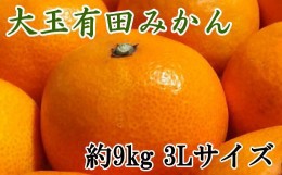 【ふるさと納税】【食べごたえ十分】有田みかん大玉約9kg（3Lサイズ・秀品）※2024年11月中旬〜1月中旬頃順次発送（お届け日指定不可）