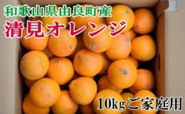 【ふるさと納税】【訳あり・ご家庭用】和歌山由良町産の濃厚清見オレンジ約10kg★2025年2月中旬頃より順次発送【TM132】