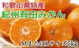 【ふるさと納税】[秀品]和歌山有田みかん　5kg(MサイズまたはLサイズのいずれか) ※2024年11月中旬〜1月中旬頃順次発送 みかん 柑橘類