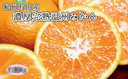 【ふるさと納税】完熟有田みかん　10kg　※2024年11月下旬頃〜2025年1月下旬頃に順次発送予定(お届け日指定不可) みかん 柑橘類