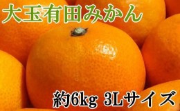 【ふるさと納税】[秀品]和歌山有田みかん　6kg(3Lサイズ) ※2024年11月中旬〜1月中旬頃順次発送