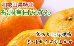 【ふるさと納税】[訳あり規格]和歌山有田みかん10kg（S〜Lサイズおまかせ） ※2024年11月中旬〜1月中旬頃順次発送 みかん 柑橘類