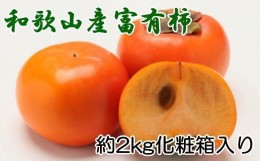 【ふるさと納税】［厳選・産直］和歌山産の富有柿約2kg（化粧箱入り）（2L〜4Lサイズ）