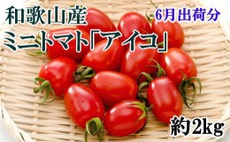 【ふるさと納税】【6月発送】和歌山産ミニトマト「アイコトマト」約2kg（S・Mサイズおまかせ）