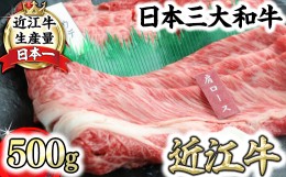 【ふるさと納税】近江牛霜降り・赤身すき焼き用（肩ロース・ウデ）【500g（肩ロース250ｇ、ウデ250ｇ）】　【CO05SM】  