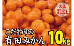 【ふるさと納税】【農家直送】有田みかん　約10kg  大玉3L以上　有機質肥料100% 先行予約 ※2024年12月初旬〜2025年1月中旬に順次発送(お