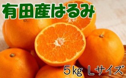 【ふるさと納税】【厳選・濃厚】紀州有田産のはるみ 5kg (Lサイズ)※2025年1月下旬〜2月中旬頃順次発送(お届け日指定不可)