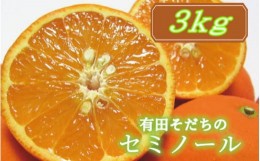 【ふるさと納税】【2025年4月より順次発送】有田育ちの爽快セミノールオレンジ(ご家庭用)　約3kg【ard024A】