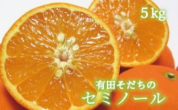 【ふるさと納税】【2025年4月より順次発送】有田育ちの爽快セミノールオレンジ(ご家庭用)　約5kg