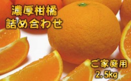 【ふるさと納税】【先行予約】有田育ちの濃厚柑橘詰め合わせセット(ご家庭用)　約2.5kg【2025年1月中旬〜4月下旬順次発送予定】