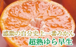 【ふるさと納税】厳選　超熟有田みかん5kg+150g（傷み補償分）【自分史上一番みかん】【菊みかん入り】【光センサー選別】＜11月上旬より