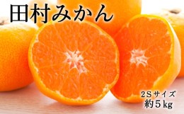 【ふるさと納税】【ブランドみかん】田村みかん約5kg（2Sサイズ・秀品）【2024年11月下旬〜12月下旬頃に順次発送】【tec881】