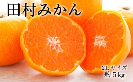 【ふるさと納税】【ブランドみかん】田村みかん約5kg（2Lサイズ・秀品）【2024年11月下旬〜12月下旬頃に順次発送】