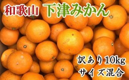 【ふるさと納税】【産直】和歌山下津みかん　10kg（訳ありサイズ混合）※2024年11月中旬〜2025年1月中旬頃に順次発送