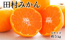 【ふるさと納税】【ブランドみかん】田村みかん約5kg（Sサイズ・秀品）【2024年11月下旬〜12月下旬頃より順次発送】