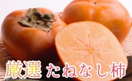 【ふるさと納税】＜10月より発送＞厳選たねなし柿2.5kg（傷み補償分）【刀根早生・平核無柿（ひらたねなしかき）】【カキ・種無柿・種無