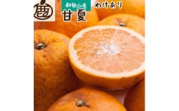 【ふるさと納税】＜4月より発送＞家庭用 甘夏柑9kg+270g（傷み補償分）【初夏のみかん・旬の果物】【有田産】【光センサー食べ頃出荷】【