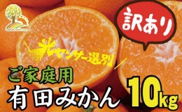 【ふるさと納税】＼光センサー選別／訳あり 有田みかん 約10kg 【ご家庭用】 和歌山県 温州みかん 先行予約【2024年11月中旬より発送予定