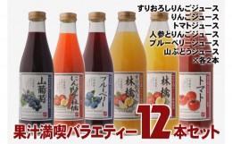 【ふるさと納税】6-K08　果汁満喫バラエティー　12本セット（KF03）