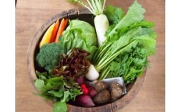 【ふるさと納税】オーガニック野菜セット (約８種類）有機野菜 野菜 詰め合わせ
