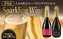 【ふるさと納税】【OcciGabi Winery】人気の紅白スパークリング・ワイン・セット　特別なおもてなしに スパークリング ワイン 紅白セット