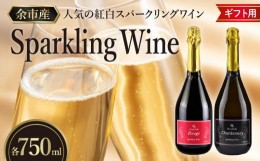 【ふるさと納税】【化粧箱入り】人気の紅白 スパークリング ワイン セット 各750ml　【余市のワイン】 ワイン 赤ワイン 白ワイン 赤白ワ