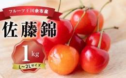 【ふるさと納税】さくらんぼの王様 佐藤錦 500g×2パック 合計1kg(L~2L) 【2024年発送先行予約】 余市 北海道 フルーツ王国 さくらんぼ 