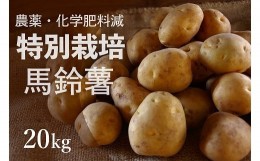 【ふるさと納税】じゃがいも　20kg　特別栽培（男爵）/015-13055-b01D