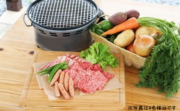 【ふるさと納税】ローザンベリー多和田BBQ体験ペアチケット