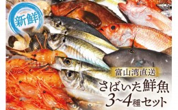 【ふるさと納税】[?5313-0004]魚 富山湾直送 さばいた鮮魚セット 3〜4種 旬 新鮮 鮮魚 刺身 詰め合わせ 産地直送 冷蔵/くろべ漁業協同組