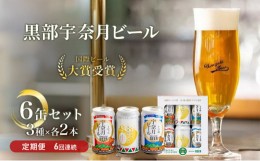 【ふるさと納税】[?5313-0063]ビール ふるさと定期便　宇奈月ビール6缶セット×6回（6か月連続発送）/地ビール クラフトビール 北陸 缶/