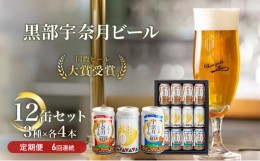 【ふるさと納税】[?5313-0065]ビール ふるさと定期便 宇奈月ビール12缶セット×6回（6か月連続発送）/地ビール クラフトビール 北陸 缶/