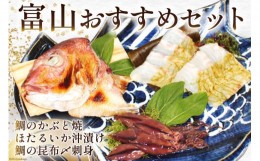 【ふるさと納税】[?5313-0162]【富山おすすめセット】鯛のかぶと焼 120g＆ほたるいか沖漬け 5杯＆鯛の昆布〆刺身 90g セット 詰め合わせ 