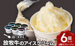【ふるさと納税】北海道 お菓子 スイーツ 放牧牛 アイスクリーム 4種6個 【池田牧場】