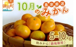 【ふるさと納税】10月の御浜柑橘　秋みかん5〜10キロ 果物 フルーツ みかん 極早生みかん 極早生 5kg 〜 10kg 