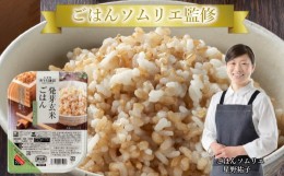 【ふるさと納税】10P11 発芽玄米ごはんパック 180g×10個セット レトルトご飯 レトルトごはん 一人暮らし パックご飯 パックごはん ごは