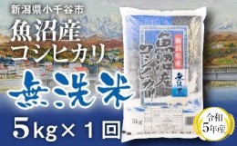 【ふるさと納税】r05-10-4KT 令和5年産 魚沼産コシヒカリ 無洗米 5kg 白米 魚沼 米（米太）