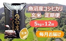 【ふるさと納税】r05-137-001 魚沼産コシヒカリ・棚田米 玄米5kg×12回（毎月）