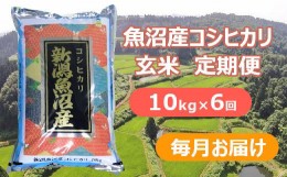 【ふるさと納税】r05-137-002 魚沼産コシヒカリ・棚田米 玄米10kg×6回（毎月）