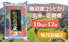 【ふるさと納税】r05-274-001 魚沼産コシヒカリ・棚田米 玄米10kg×12回（毎月）