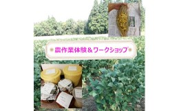 【ふるさと納税】r05-027-006 里山を守ろう＜自然栽培大豆のオーナー＞味噌・納豆づくり