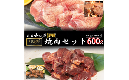 【ふるさと納税】お肉讃歌焼肉セット600g　(300ｇ×２P) ＜肉の匠中むら屋厳選＞ 牛タン 牛ハラミ  【1548】