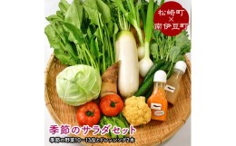 【ふるさと納税】伊豆からお届け！季節のサラダセット（松崎町×南伊豆町）　＜CE-1＞