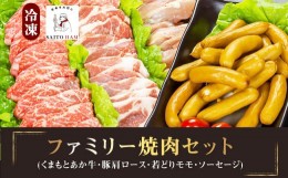 【ふるさと納税】22-17_ファミリー焼肉セット (冷凍)｜牛肉 豚肉 鶏肉 ソーセージ 家族 仲間 詰め合わせ バーベキュー BBQ サイトウハム 