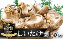 【ふるさと納税】菌床しいたけ　かご入り【椎茸 約1.5kg 15~20個入り かご入り 野菜 山菜 きのこ キノコ 菌床 こだわり 肉厚 ステーキ オ