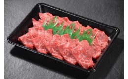 【ふるさと納税】鳥取和牛 焼肉用 赤身肉（モモ、ウデ） 計300g KT010-013